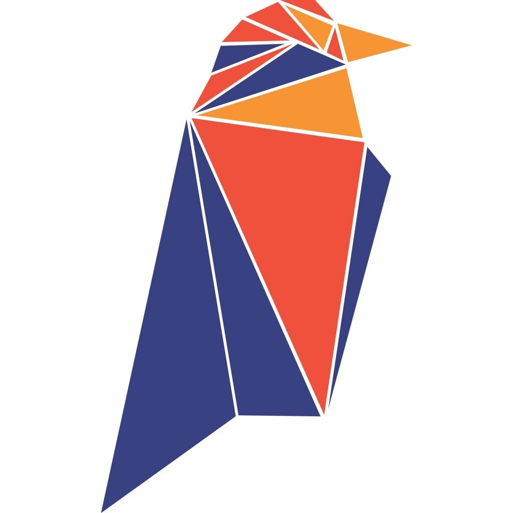 ravencoin-rvn-logo