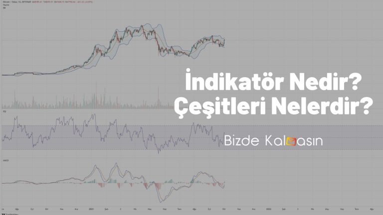 İndikatör Çeşitleri