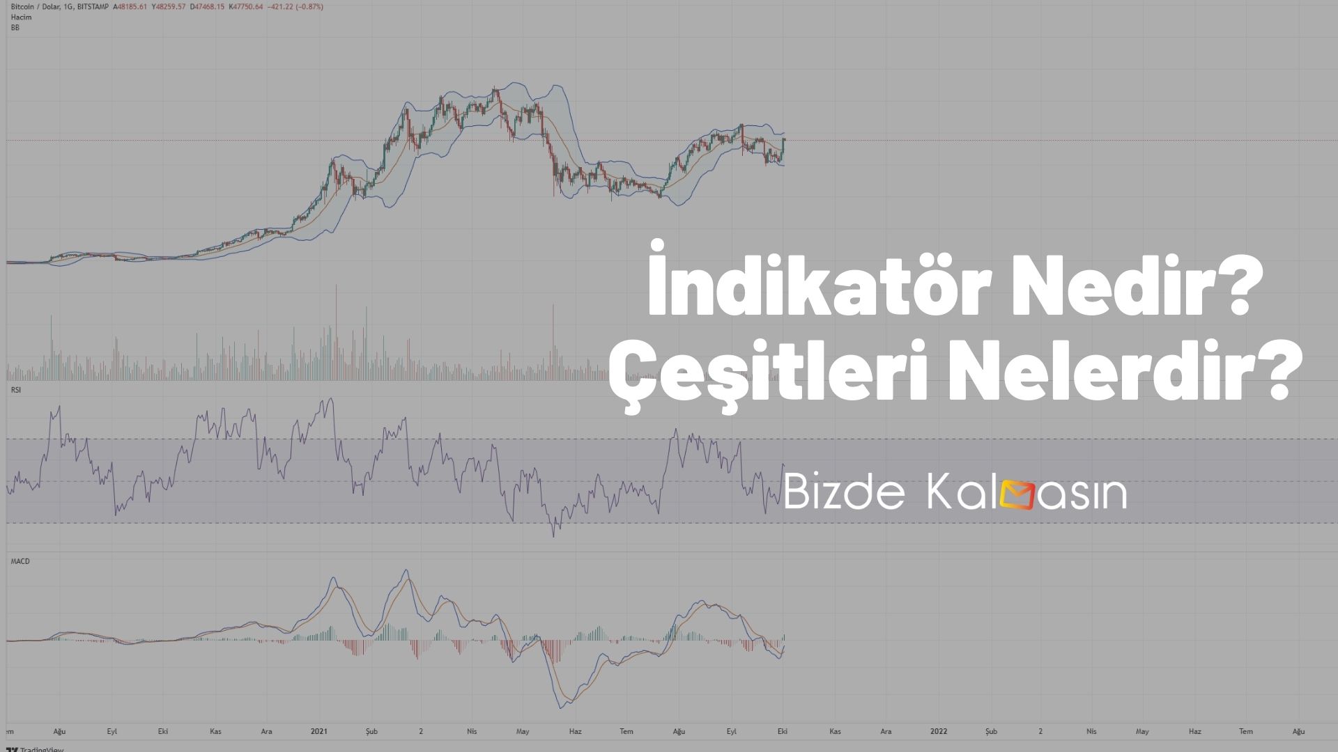 İndikatör Çeşitleri Nelerdir? İndikatör Çeşitleri