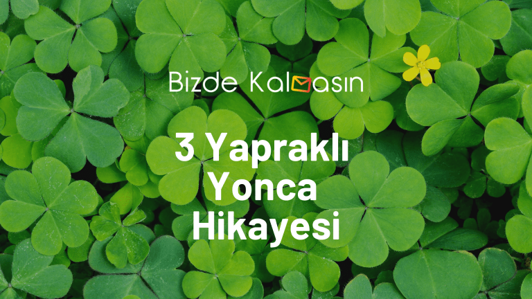 3 Yapraklı Yonca Hikayesi
