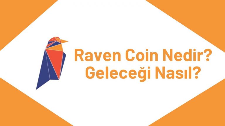 Rvn Coin Geleceği