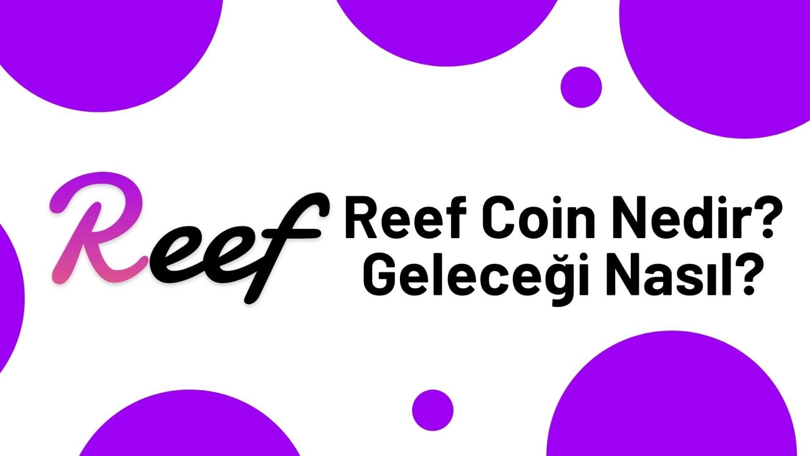 Reef Coin Geleceği 2025 Mayıs Reef Coin Geleceği