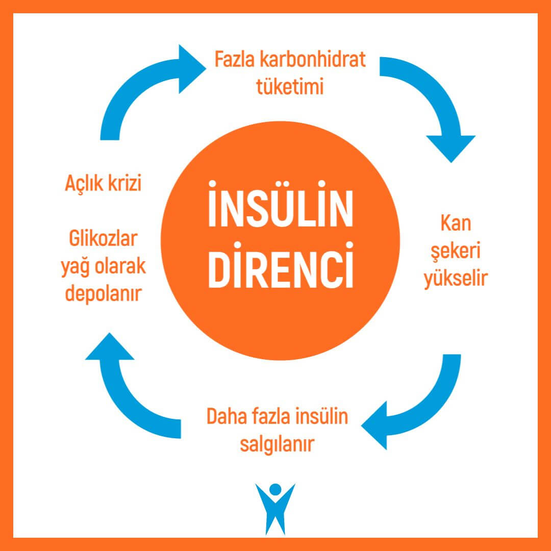 insülin