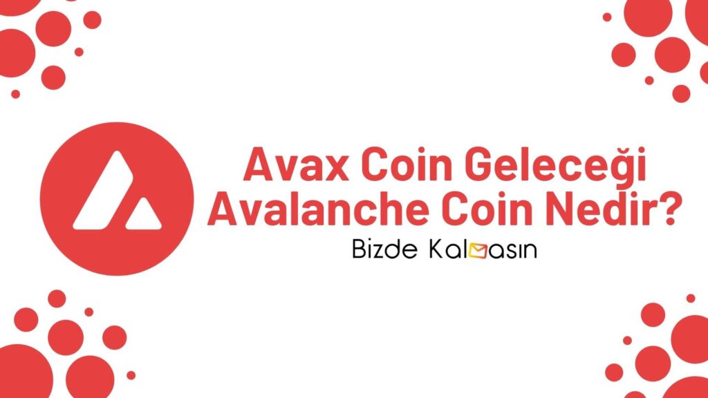 Avax Coin Geleceği