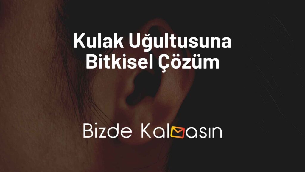 Kulak Uğultusuna Bitkisel Çözüm