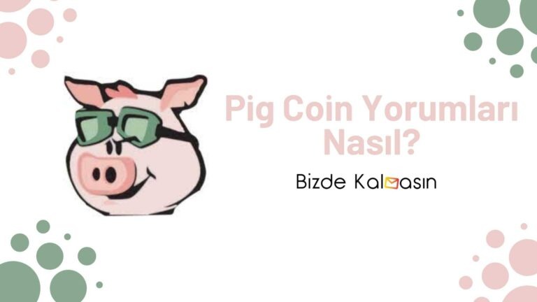 Pig coin yorum