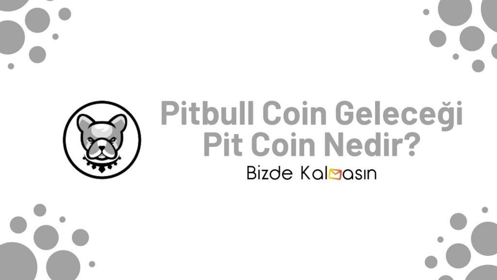 Pitbull Coin Geleceği