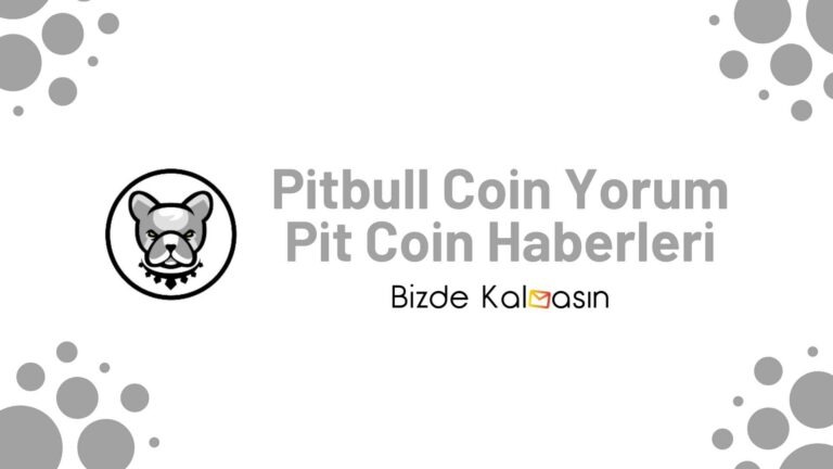 Pitbull Coin Yorum – Pit Coin Geleceği 2024