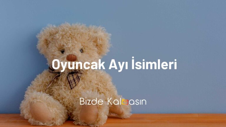 Oyuncak Ayı İsimleri