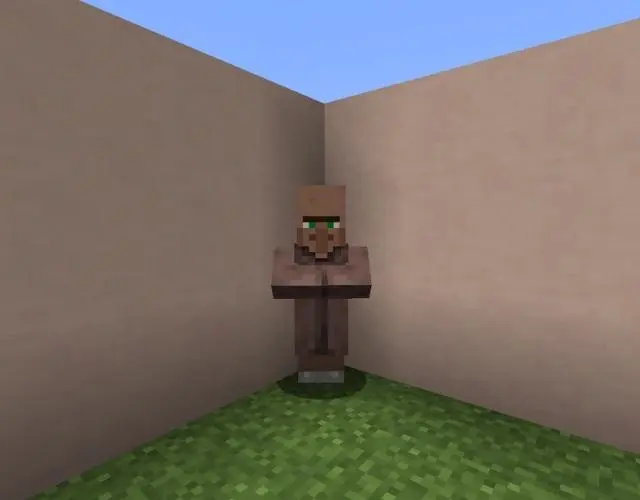 minecraft köylü İşsiz