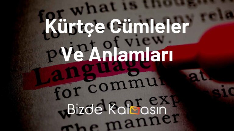 Kürtçe Cümleler Ve Anlamları