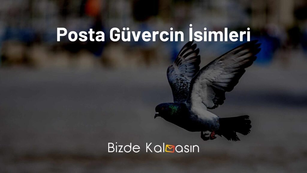 Posta Güvercin İsimleri