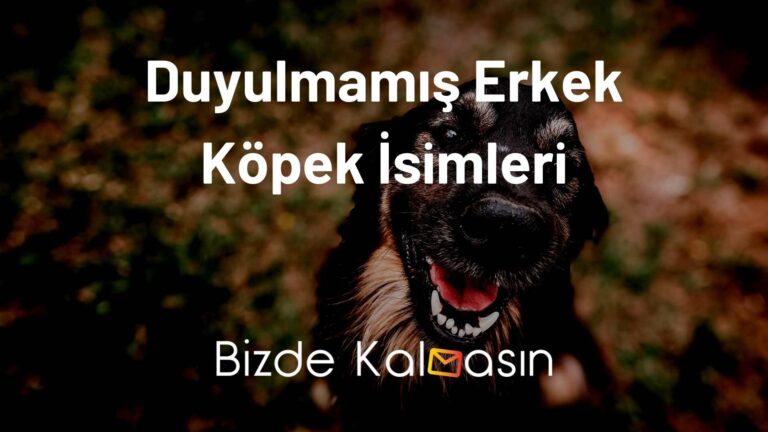 Duyulmamış Erkek Köpek İsimleri