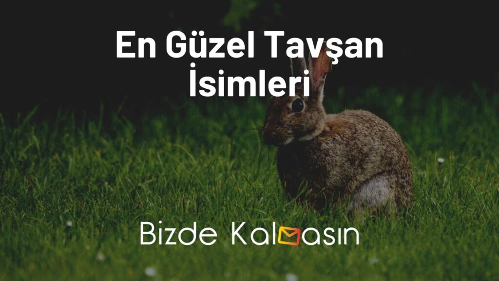 En Güzel Tavşan İsimleri