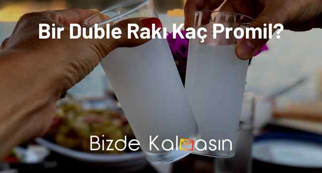 Bir Duble Rakı Kaç Promil?