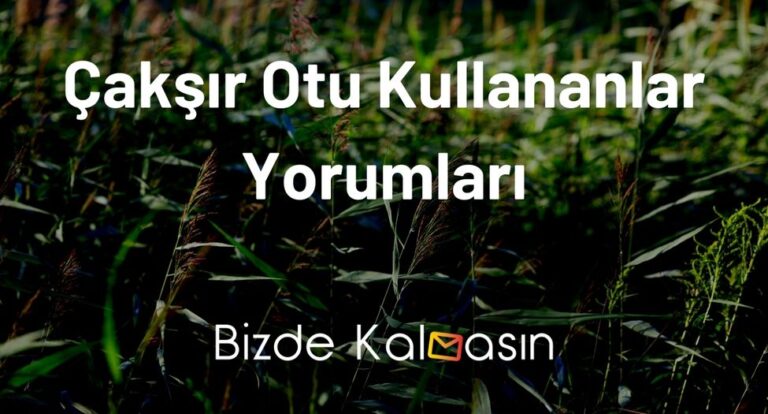 Çakşır Otu Kullananlar Yorumları – Çocuk Sahibi Olmak İsteyenler!