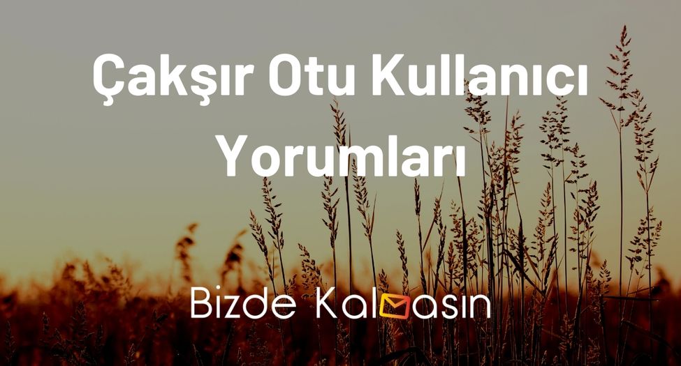 Çakşır Otu Kullanıcı Yorumları