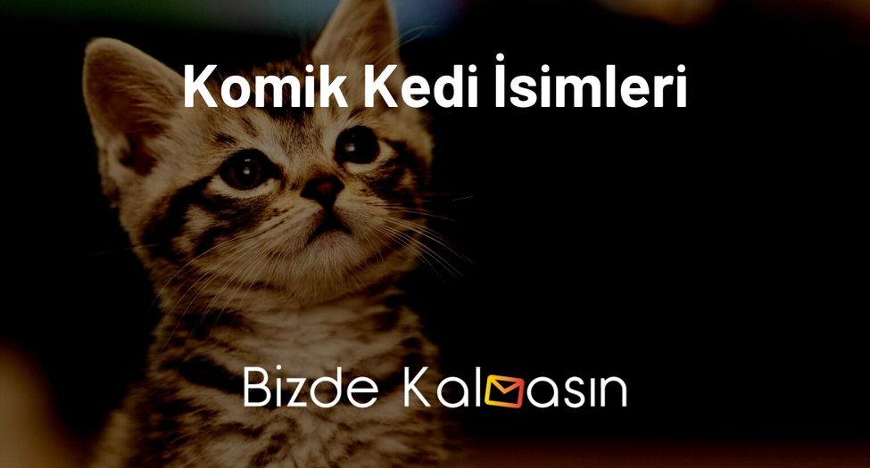 Komik Kedi İsimleri