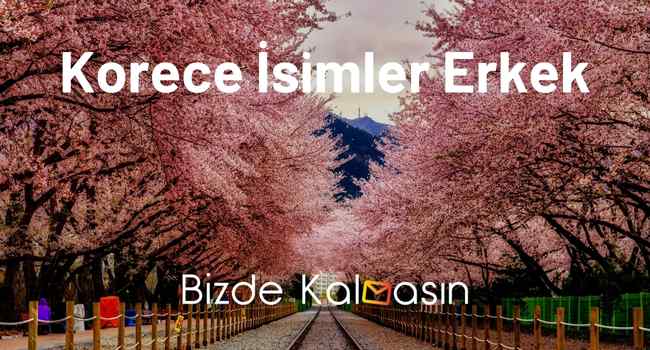 Korece İsimler Erkek