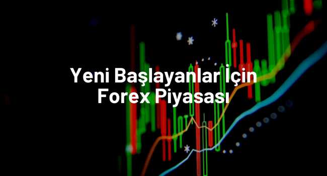 Yeni Başlayanlar İçin Forex Piyasası