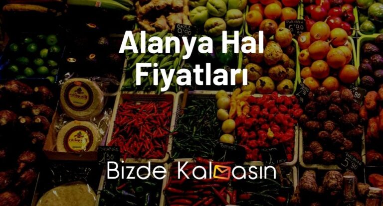 Alanya Hal Fiyatları 2025 – Konaklı, Payallar Hal Fiyatları – Güncel!