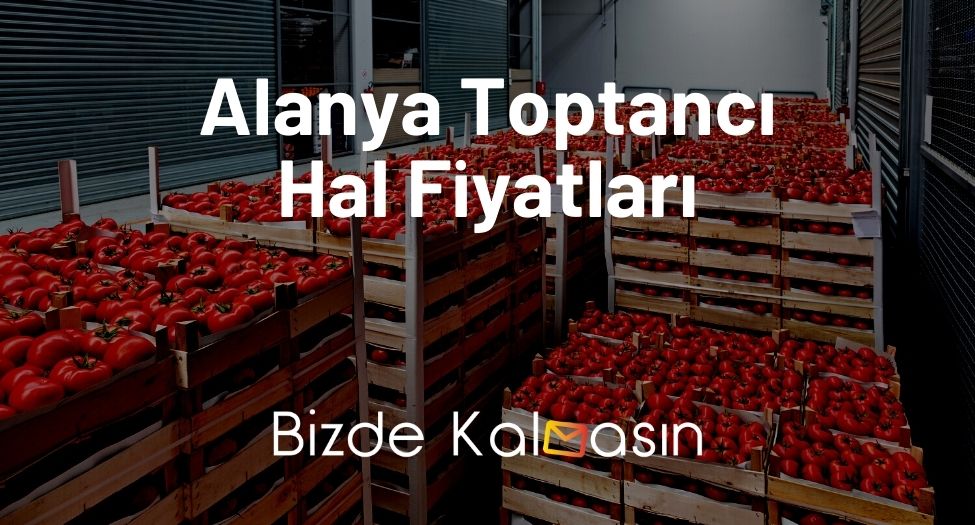 Alanya Toptancı Hal Fiyatları