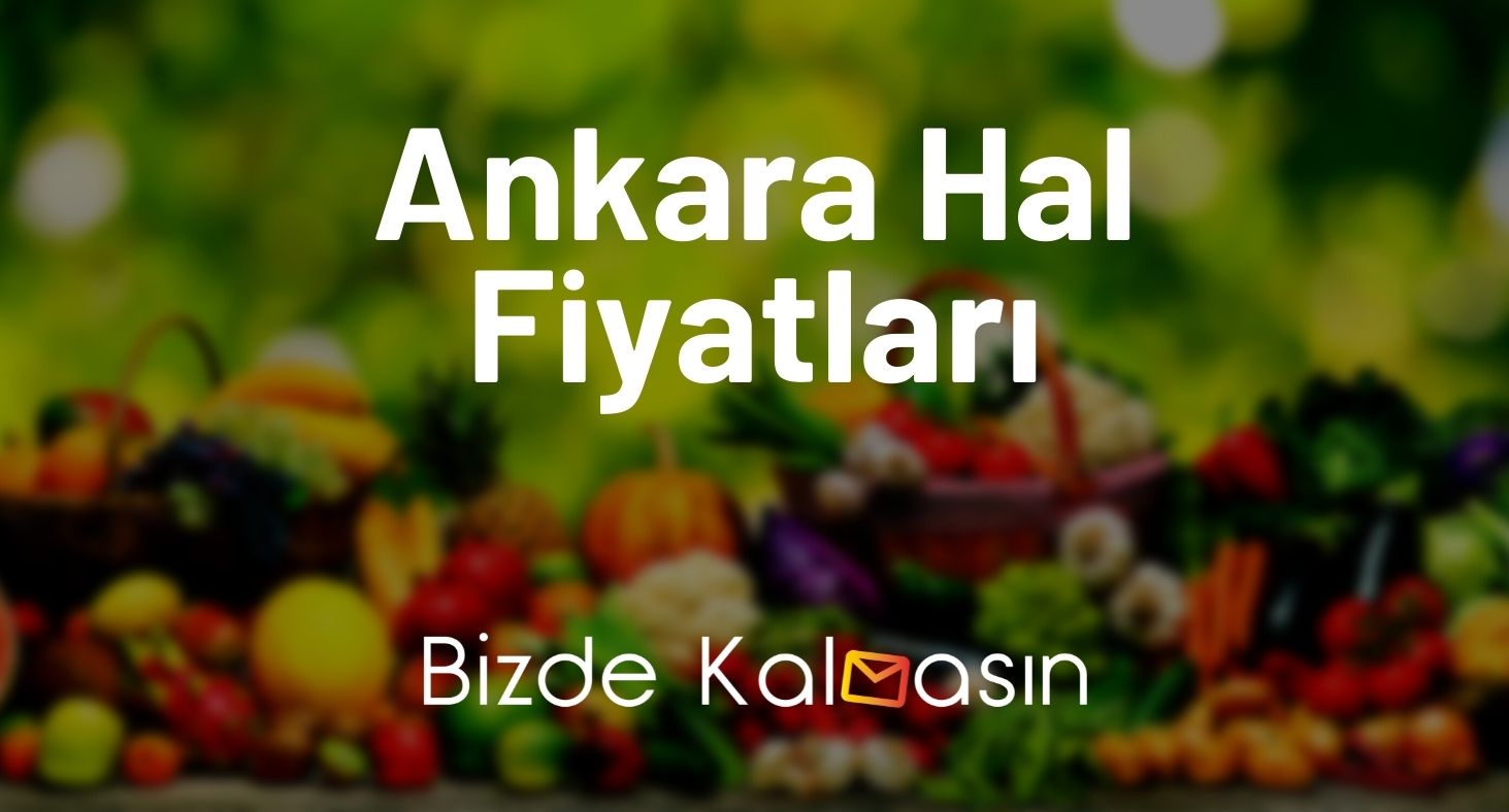Ankara Hal Fiyatları 2026 - Ankara Ulus Hali Balık Fiyatları - Ucuz! Ankara Hal Fiyatları