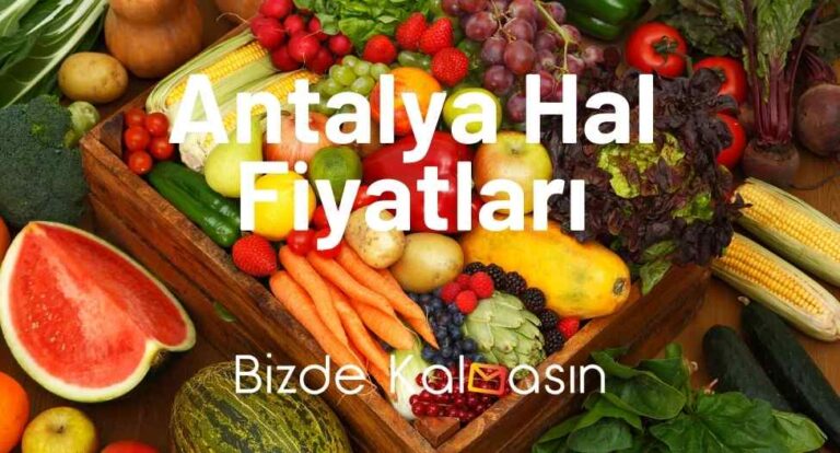 Antalya Hal Fiyatları 2024 – Güncel Sebze Meyve Hal Fiyatları!