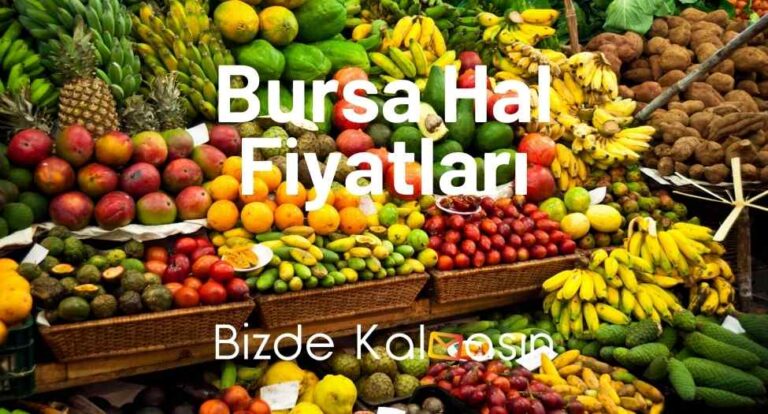 Bursa Hal Fiyatları 2023 – Bursa Sebze Meyve Hali Fiyatları