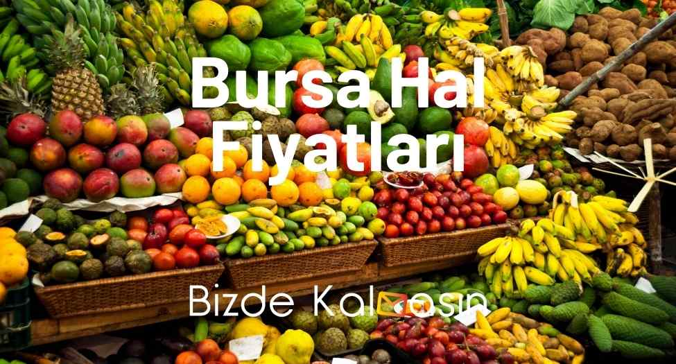 Bursa Hal Fiyatları 2026 - Bursa Sebze Meyve Hali Fiyatları Bursa Hal Fiyatları