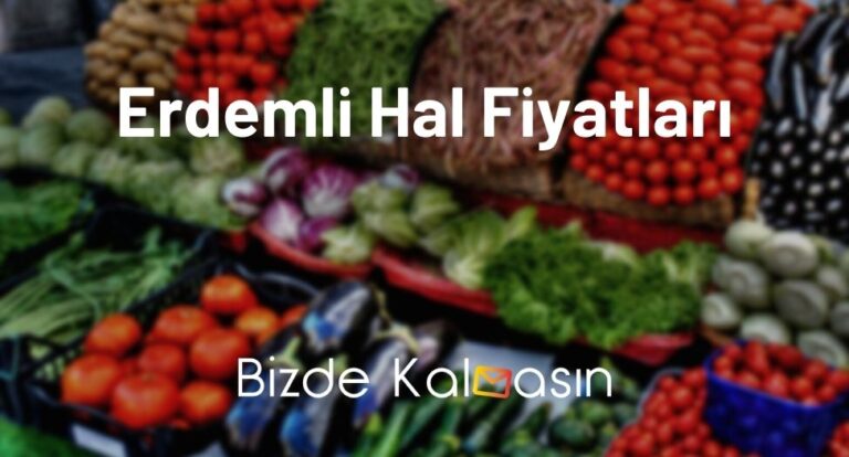 Erdemli Hal Fiyatları 2025 – Güncel Sebze Meyve Hal Fiyatı