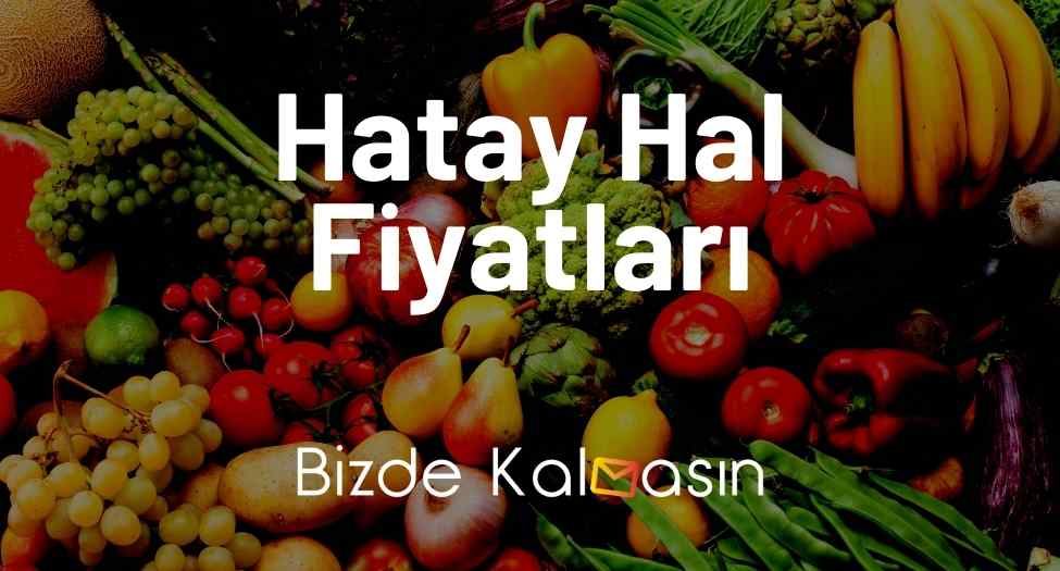 Hatay Hal Fiyatları