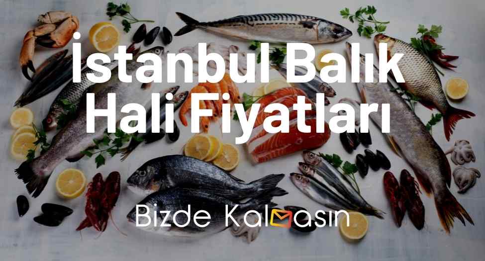 İstanbul Balık Hali Fiyatları
