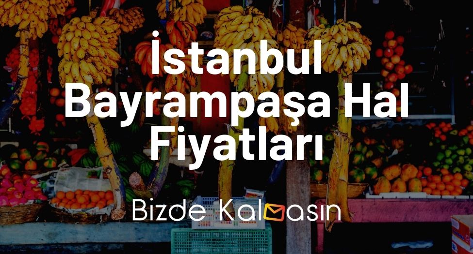 İstanbul Bayrampaşa Hal Fiyatları