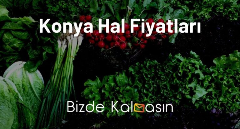 Konya Hal Fiyatları 2023 – Güncel Sebze Meyve Hal Fiyatları