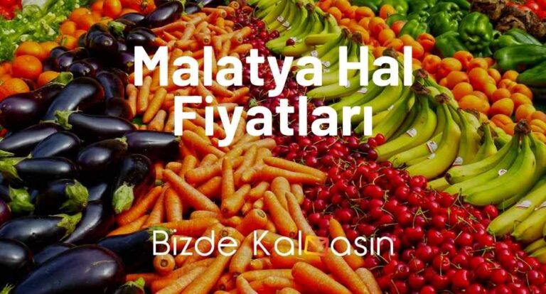 Malatya Hal Fiyatları 2023 – Sebze Ve Meyve Hali Fiyat Listesi