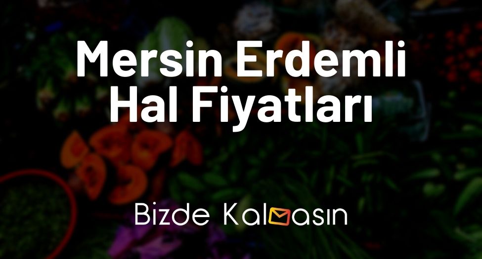 Mersin Erdemli Hal Fiyatları