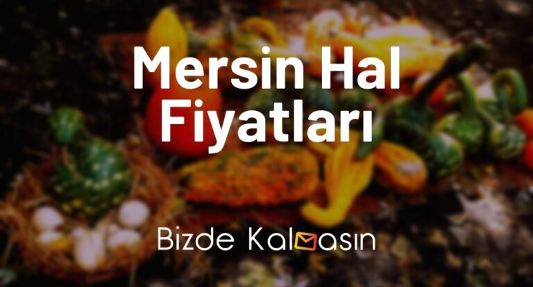 Mersin Hal Fiyatları 2023 – Sebze Ve Meyve Fiyat Listesi