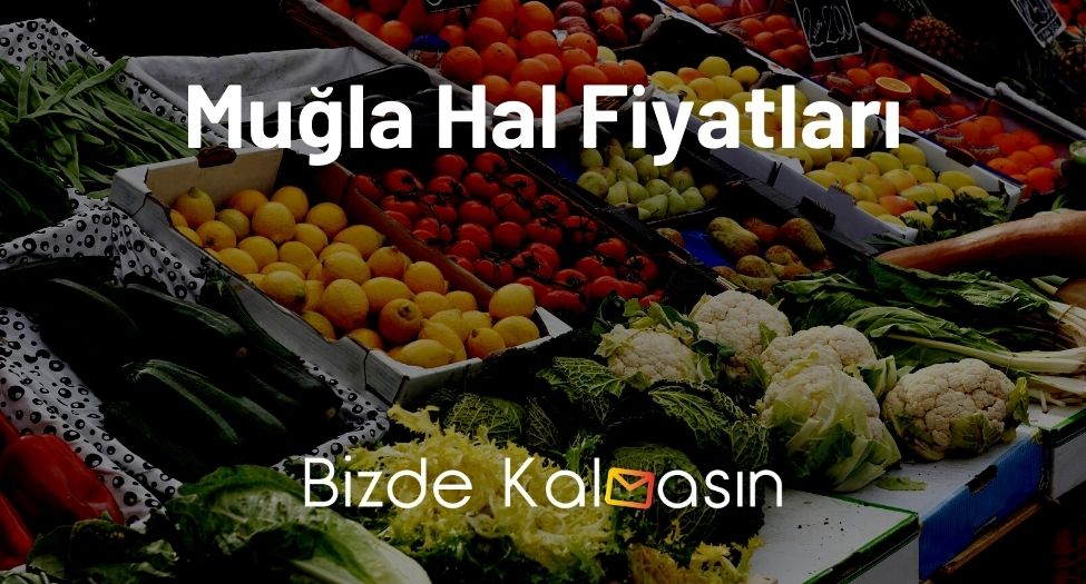 Muğla Hal Fiyatları