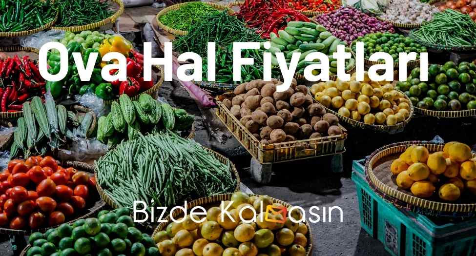 Ova Hal Fiyatları