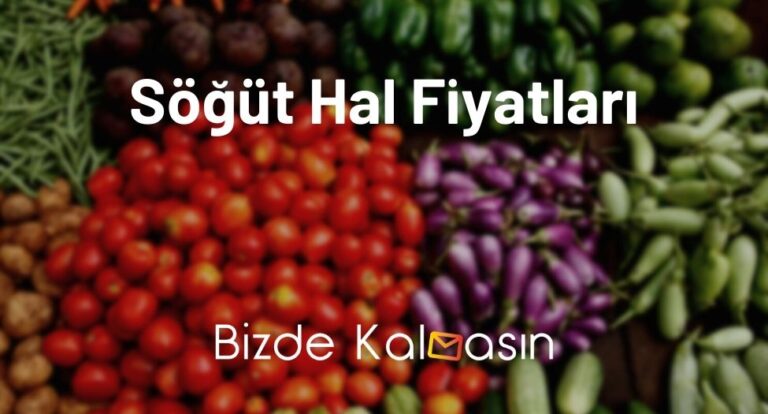 Söğüt Hal Fiyatları