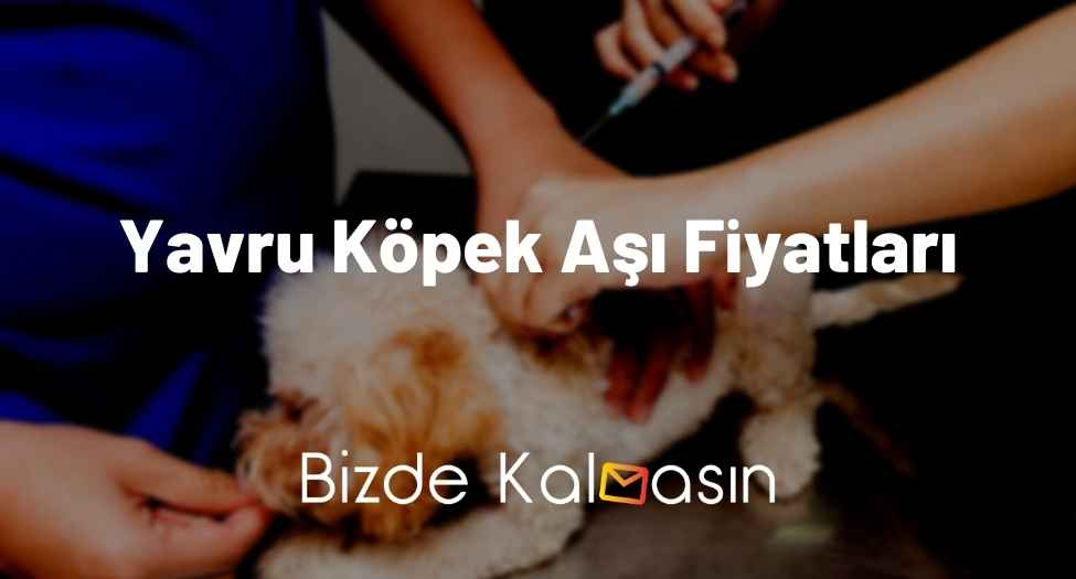 Yavru Köpek Aşı Fiyatları