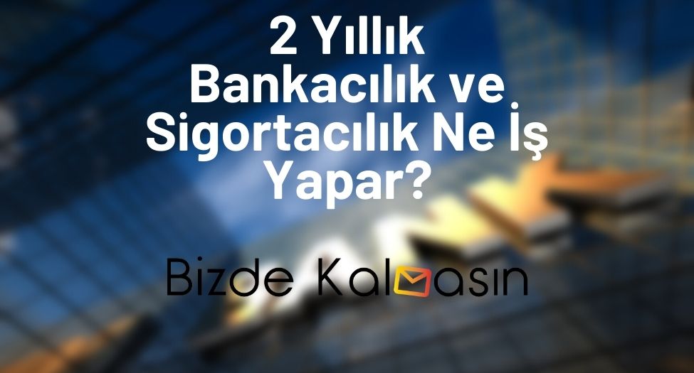 2 Yıllık Bankacılık ve Sigortacılık Ne İş Yapar?