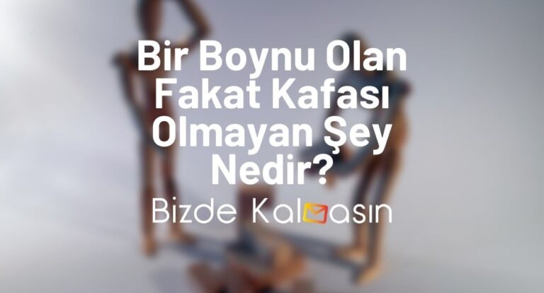 Bir Boynu Olan Fakat Kafası Olmayan Şey Nedir?