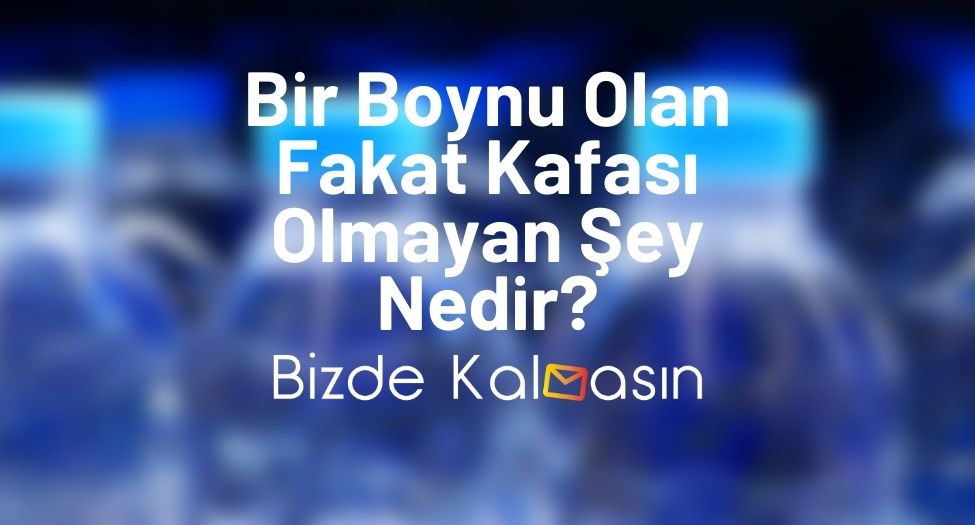 Bir Boynu Olan Fakat Kafası Olmayan Şey Nedir?