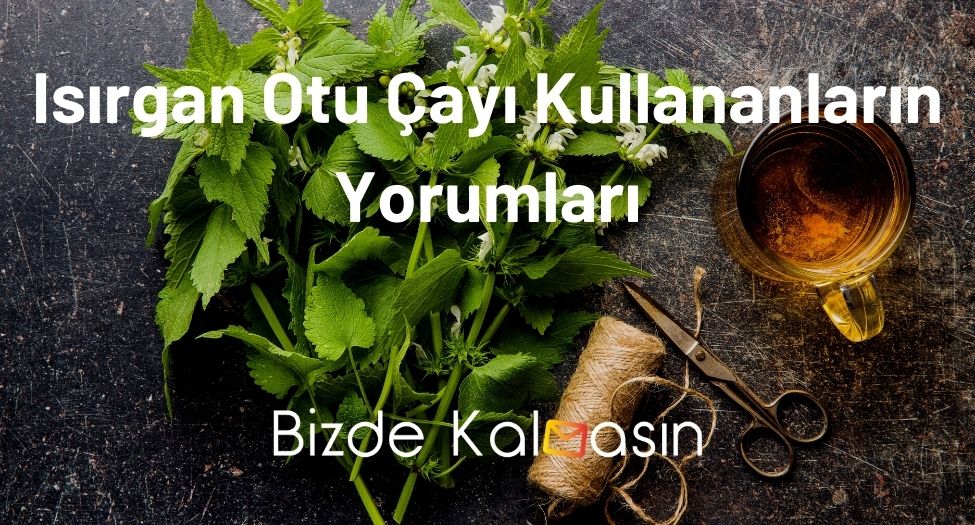 Isırgan Otu Çayı Kullananların Yorumları