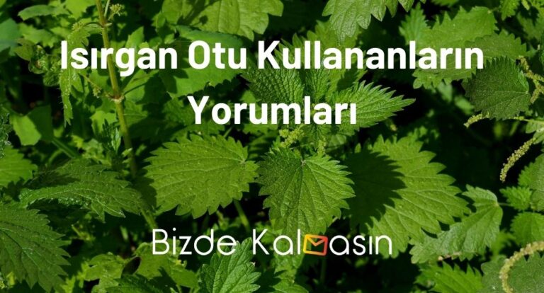 Isırgan Otu Kullananların Yorumları