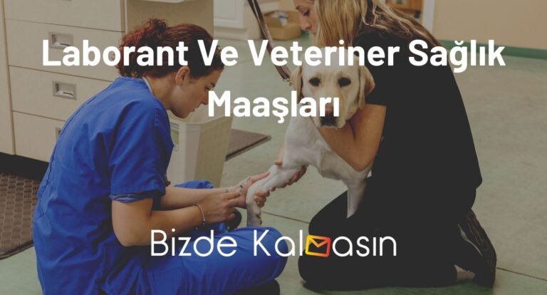 Laborant Ve Veteriner Sağlık Maaşları