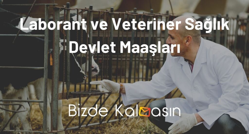 Laborant ve Veteriner Sağlık Devlet Maaşları