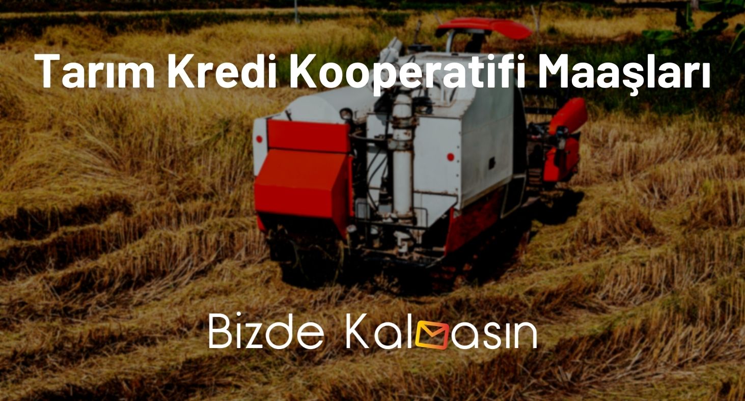 Tarım Kredi Kooperatifi Maaşları 2024 - Tarım Kredi Kooperatifi Başkanı Maaşları Tarım Kredi Kooperatifi Maaşları